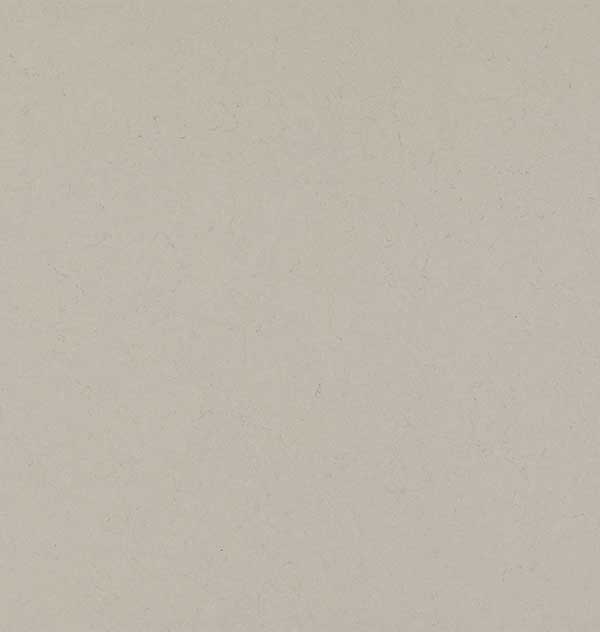 1004 Stoneburst by Caesarstone