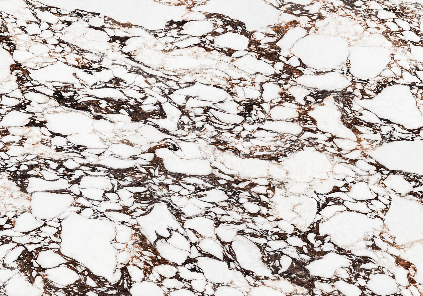 Calacatta Viola - Porcelain by Quartz City